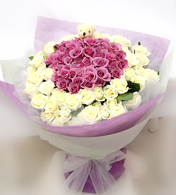 white rose flowers. Purple amp; White Rose