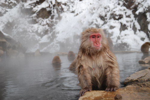 amazing hot spring in the world
