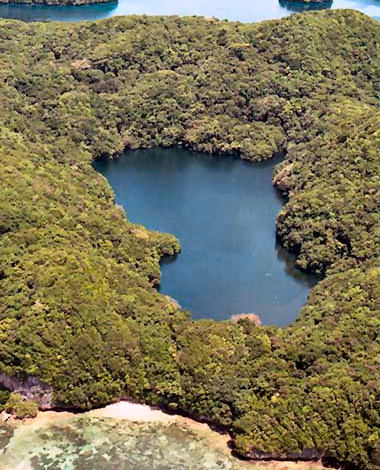 Jeffyfish Lake