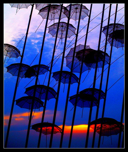 Amazing Umbrella Art