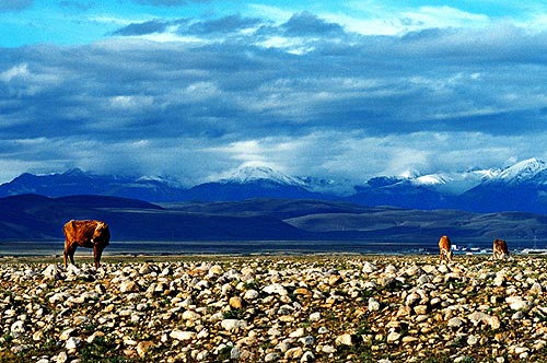 Namtso Picture- Beautiful Tibet